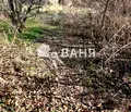 Снимка 5 — Парцел в Пловдив, с. Иван Вазово
