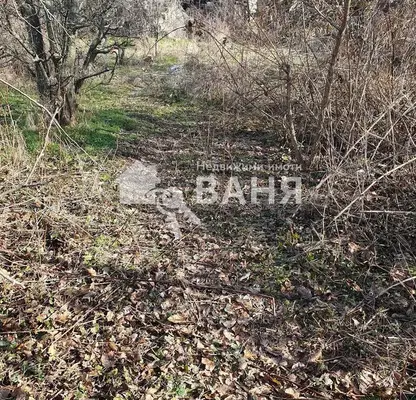 Photo 5 — Plot in Oblast Plovdiv, Ivan Vazovo