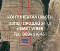 Снимка 3 — Парцел в Пловдив, с. Стоево