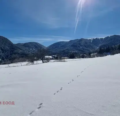 Photo 4 — Plot in Oblast Smolyan, Gela