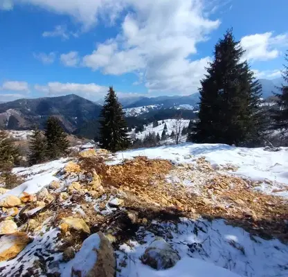 Photo 3 — Plot in Oblast Smolyan, Gela