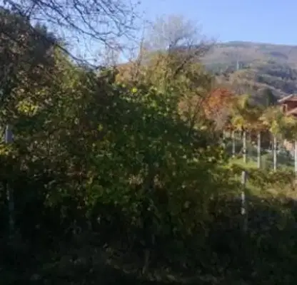 Photo 5 — Plot in Sofia, Kostenec