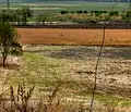 Снимка 4 — Парцел в Стара Загора, с. Богомилово