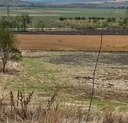Photo 4 — Plot in Oblast Stara Zagora, Bogomilovo