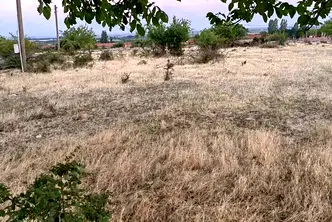 Парцел в Стара Загора, с. Братя Кунчеви