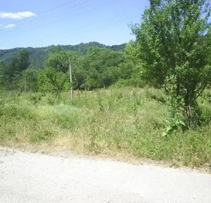 Photo 3 — Plot in Oblast Veliko Tyrnovo, Elena