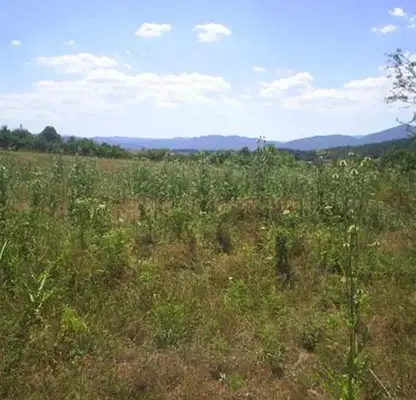 Photo 4 — Plot in Oblast Veliko Tyrnovo, Elena