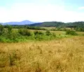 Снимка 5 — Парцел във Велико Търново, Елена