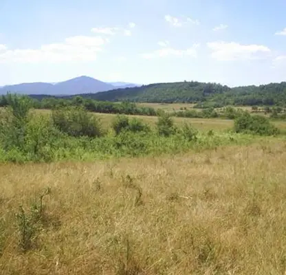 Photo 5 — Plot in Oblast Veliko Tyrnovo, Elena