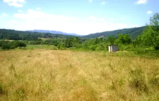 Парцел във Велико Търново, Елена