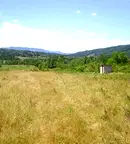 Парцел във Велико Търново, Елена