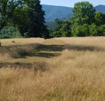 Photo 3 — Plot in Oblast Veliko Tyrnovo, Elena