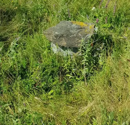 Photo 4 — Plot in Oblast Veliko Tyrnovo, Elena
