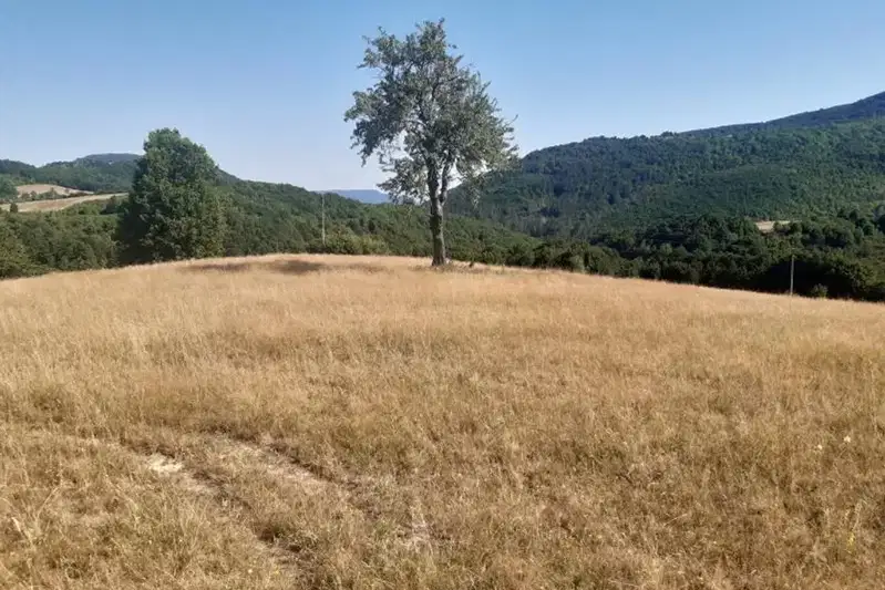 Plot in Oblast Veliko Tyrnovo, Elena