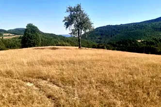 Парцел във Велико Търново, Елена