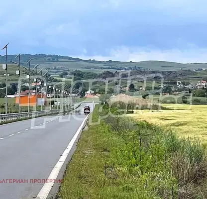 Photo 3 — Agricultural Land in Oblast Burgas, Kamenar