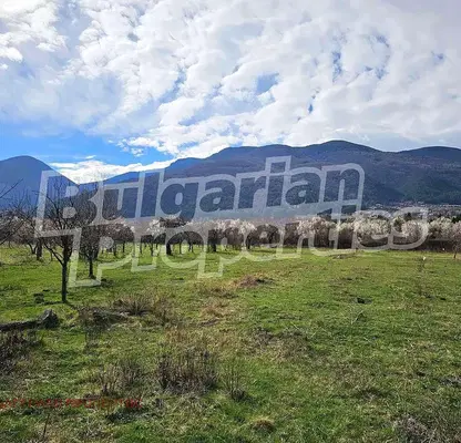 Photo 2 — Agricultural Land in Oblast Kyustendil, Sapareva Banya