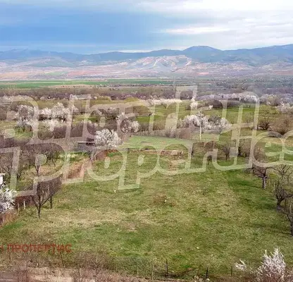 Photo 3 — Agricultural Land in Oblast Kyustendil, Sapareva Banya