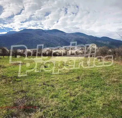 Photo 5 — Agricultural Land in Oblast Kyustendil, Sapareva Banya