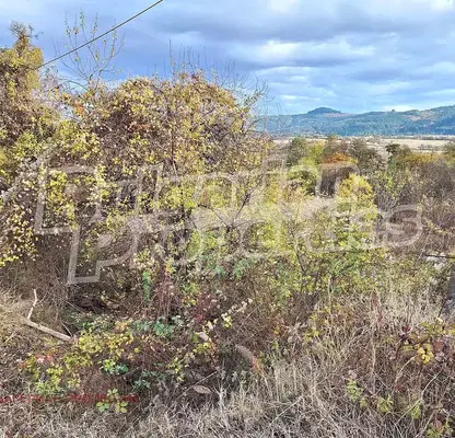 Photo 2 — Agricultural Land in Oblast Kyustendil, Jilenci
