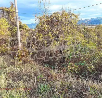 Photo 3 — Agricultural Land in Oblast Kyustendil, Jilenci