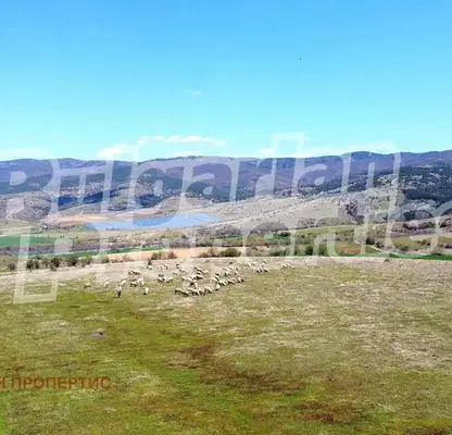 Photo 2 — Agricultural Land in Oblast Kyustendil, Saparevo