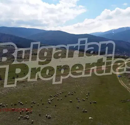 Photo 3 — Agricultural Land in Oblast Kyustendil, Saparevo