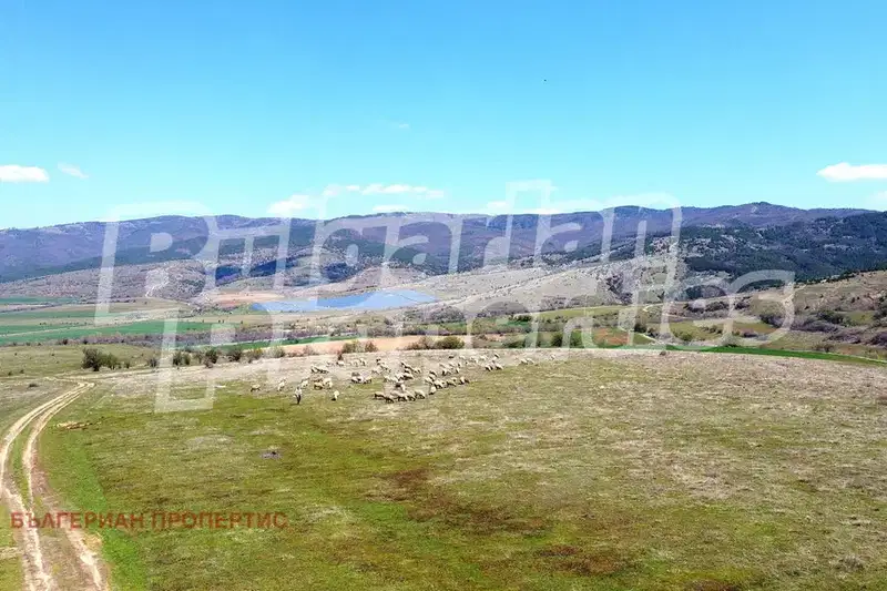 Agricultural Land in Oblast Kyustendil, Saparevo