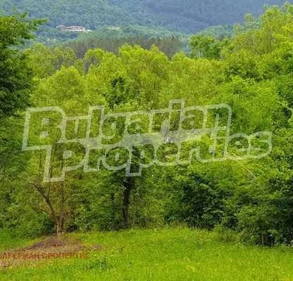 Photo 2 — Agricultural Land in Oblast Lovech, Aprilci