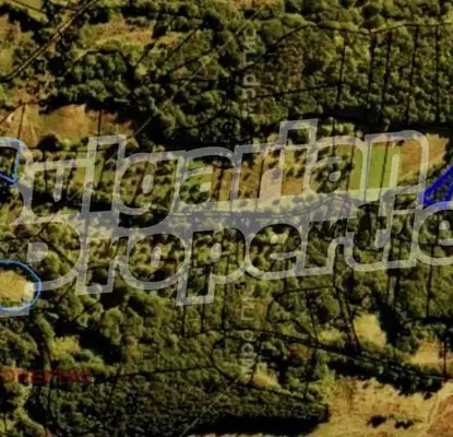 Photo 4 — Agricultural Land in Oblast Lovech, Aprilci