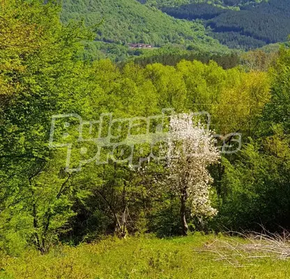 Photo 5 — Agricultural Land in Oblast Lovech, Aprilci