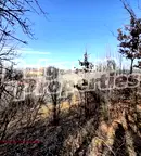 Земеделски имот в Ловеч, с. Горно трапе
