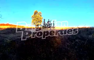 Земеделски имот в Ловеч, с. Славщица