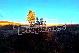 Земеделски имот в Ловеч, с. Славщица