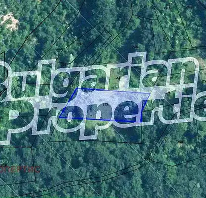 Photo 2 — Agricultural Land in Oblast Plovdiv, Gylybovo