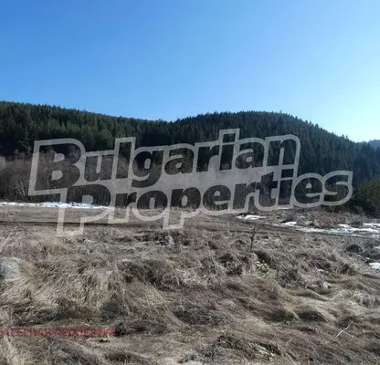 Photo 5 — Agricultural Land in Sofia, Beli Iskyr