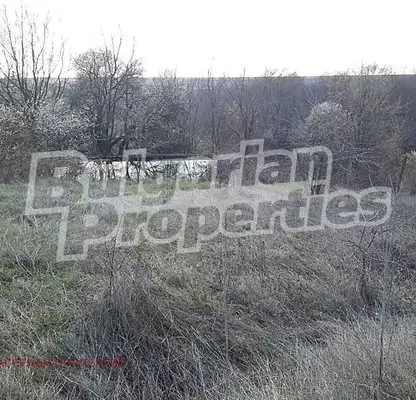 Photo 2 — Agricultural Land in Oblast Varna, Bliznaci