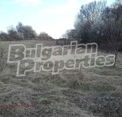 Photo 3 — Agricultural Land in Oblast Varna, Bliznaci