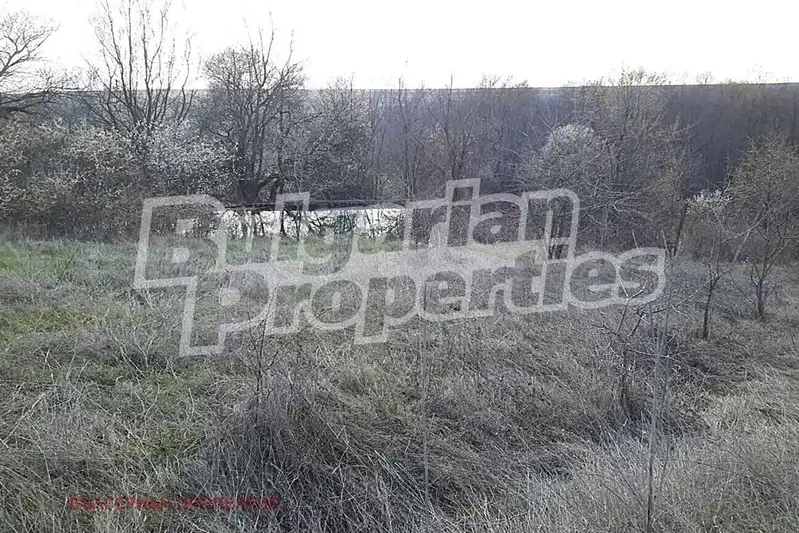 Agricultural Land in Oblast Varna, Bliznaci