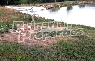 Земеделски имот във Варна, с. Осеново