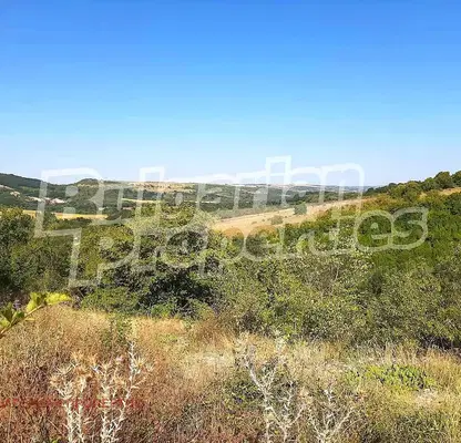 Photo 3 — Agricultural Land in Oblast Veliko Tyrnovo, Pushevo