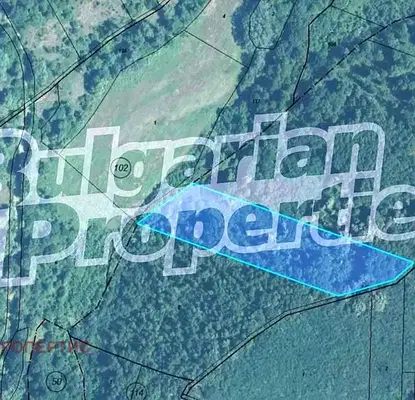 Photo 2 — Agricultural Land in Oblast Vidin, с. Лагошевци