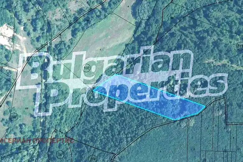 Agricultural Land in Oblast Vidin, с. Лагошевци