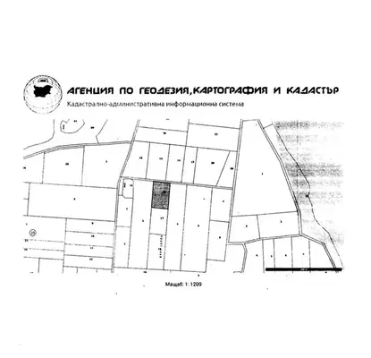Photo 3 — Plot in Dimchevo