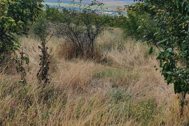 Парцел във Варна, с. Доброглед