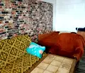 Снимка 5 — Двустаен апартамент в Раз, Промишлена зона - Изток