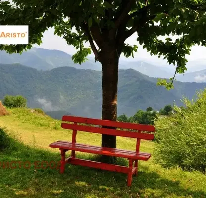 Photo 4 — Hotel in Oblast Smolyan, Banite
