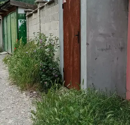 Photo 4 — House in Shumen, Kurshun Cheshma