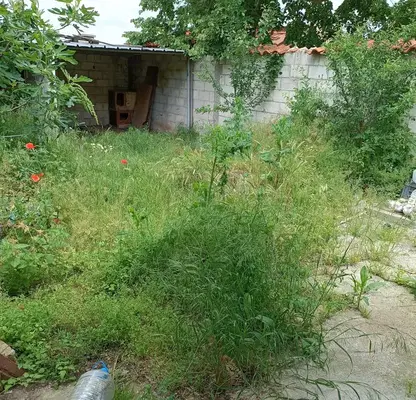 Photo 5 — House in Shumen, Kurshun Cheshma