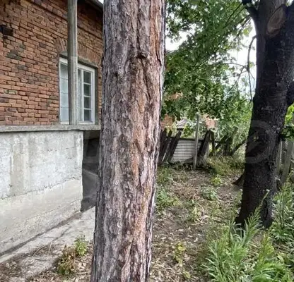 Photo 5 — House in Vidin, Makresh